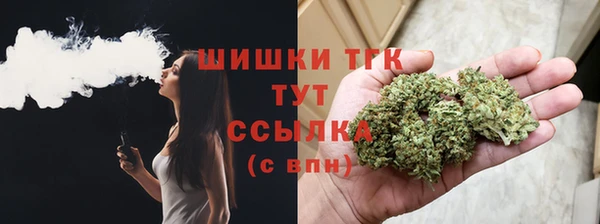 дмт Горняк
