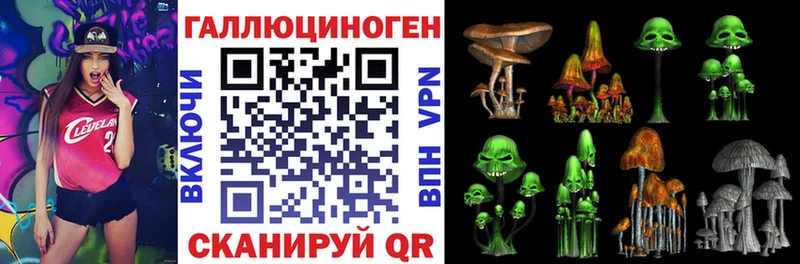 Купить  Мезень  Галлюциногенные грибы GOLDEN TEACHER 