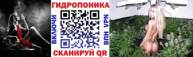 Купить где  Мезень  Марихуана THC 21% 